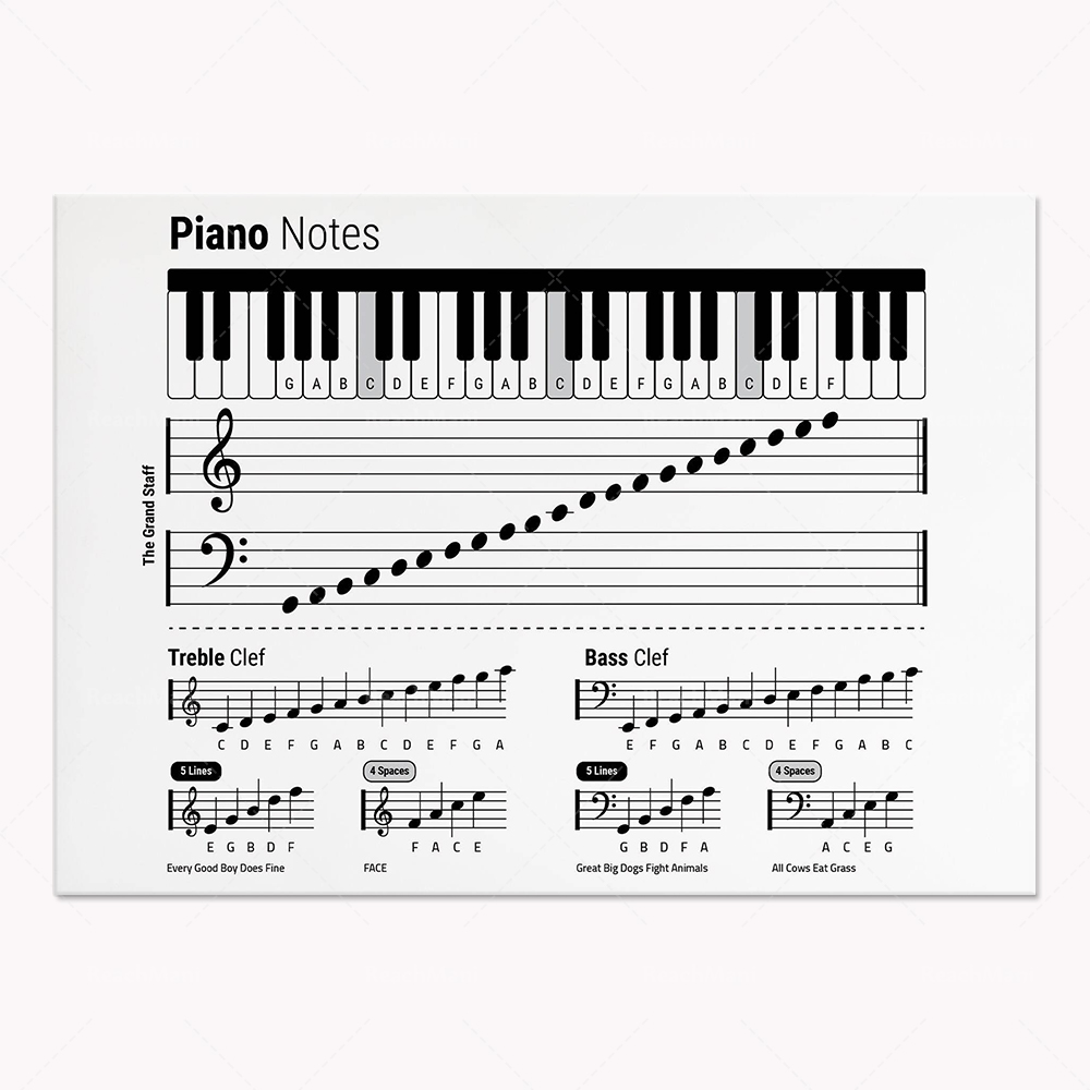 ทฤษฎีกีตาร์ เปียโน สเปกตรัมเสี - Audio Into Music Sheet บทวิจารณ์และราคา